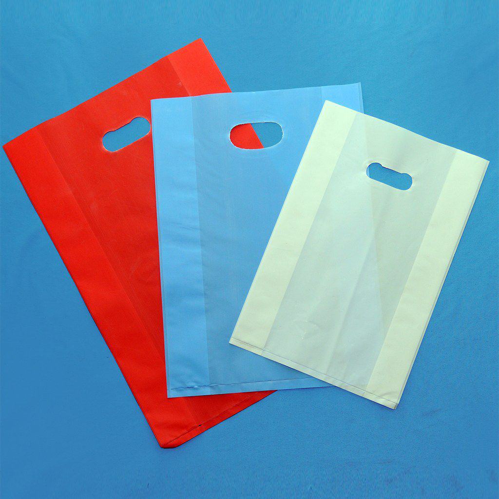 Túi PE đục lỗ - Die Cut Bags